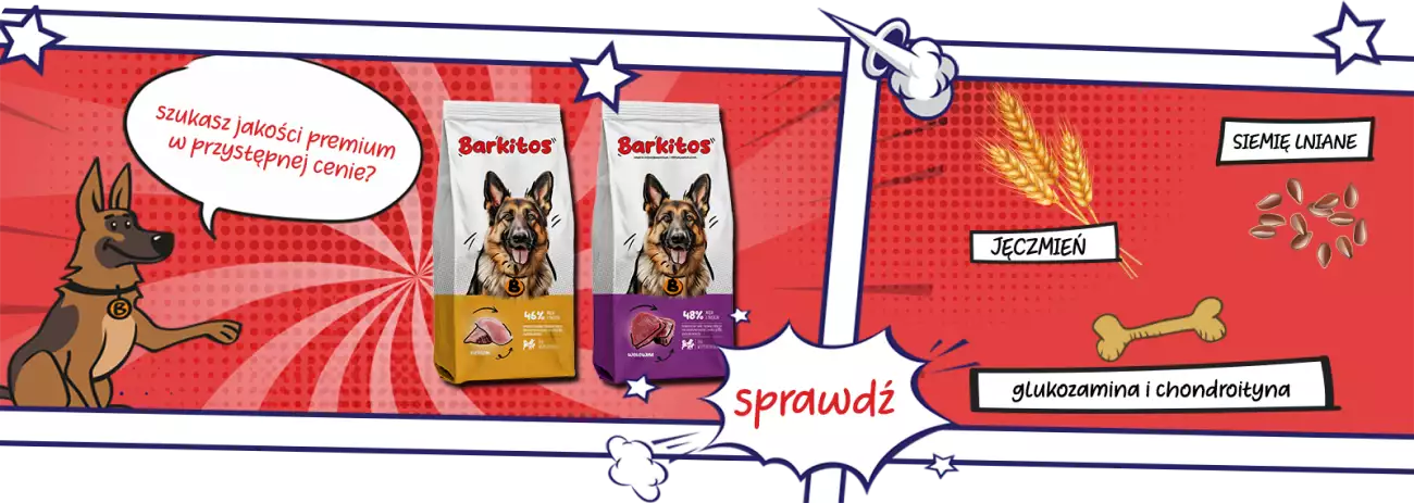 Barkitos - SG - baner główny - 1