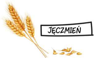 Barkitos - SG - grid banner - 5